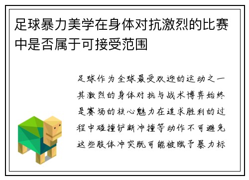 足球暴力美学在身体对抗激烈的比赛中是否属于可接受范围